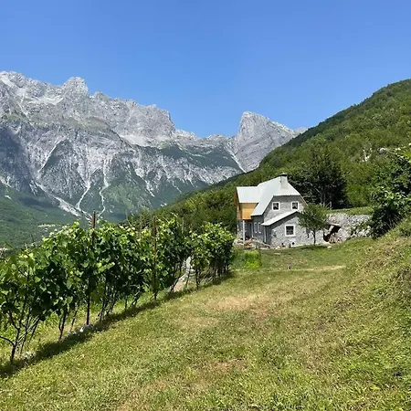 Mountain Vista Shkafi